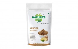 Nature's Gift Ginger Powder   Pack  100 grams